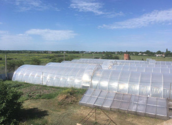 Тепличное хозяйство с фермой